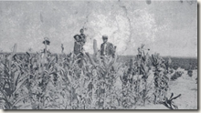 OT Jackson with a Dearfield family in their cornfield. Photo Source: Denver Public Library